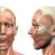 "dolor mandibular bruxismos - en Amanos Castro Urdiales